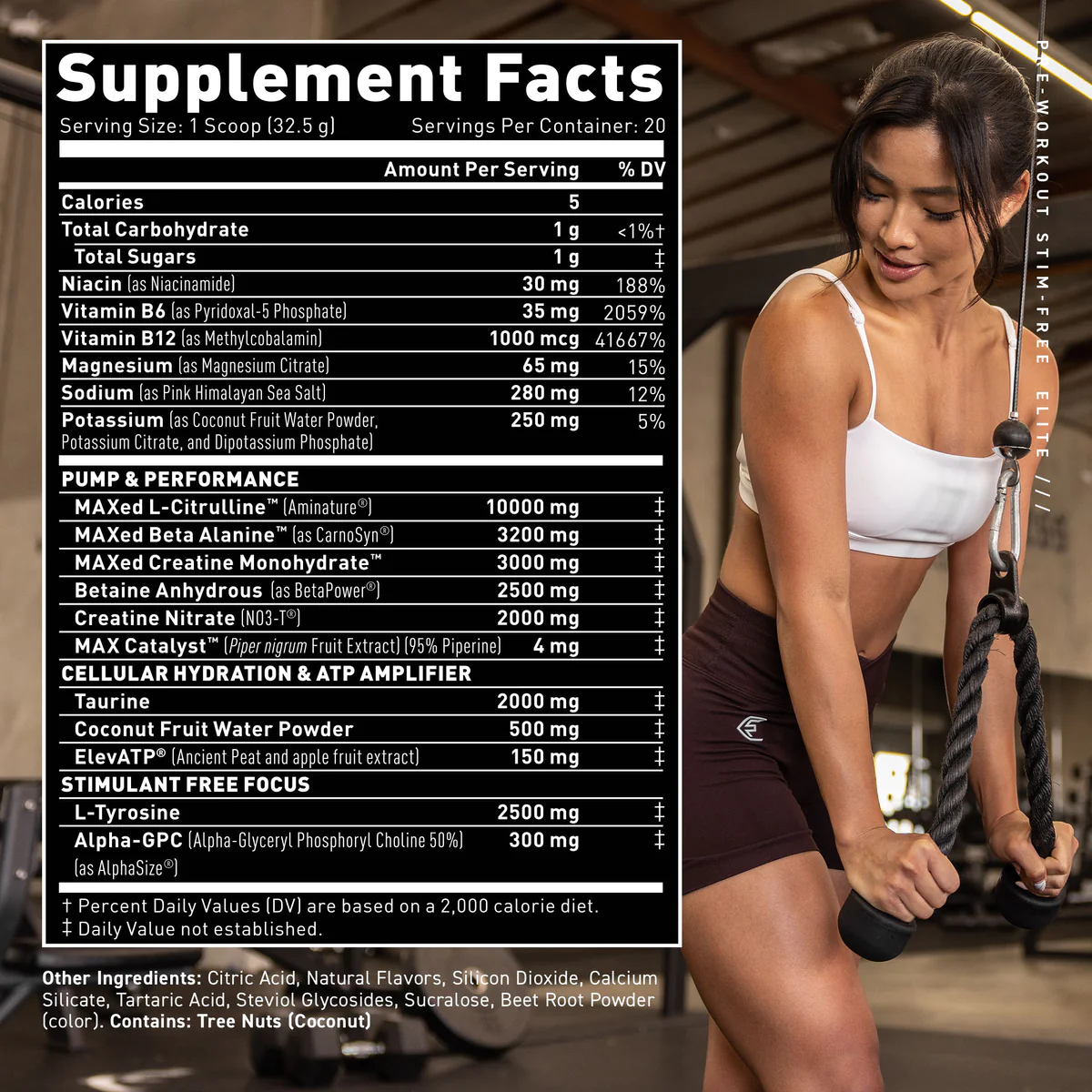Elite-Pre-Workout-Stim-Free-CL